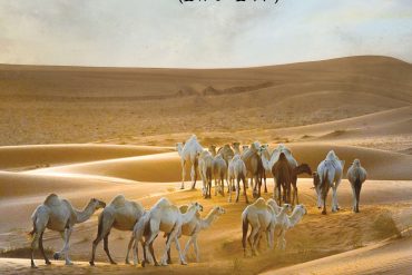 شرح وتفسير قصيدة الزعبية