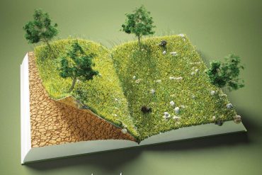 معجم النباتات والمصطلحات الزراعية المذكورة في كتب الفقه
